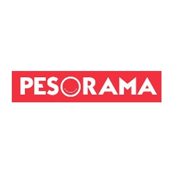 pesorama-reports-q1-2024-financial-results