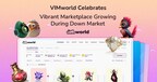 vimworld-celebrates-vibrant-marketplace-growth-during-down-market