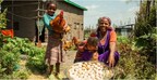 hatch-africa-raises-$9.5m-from-agdevco-and-idh-farmfit-fund-to-expand-high-growth-poultry-business-in-sub-saharan-africa