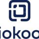 iokoo:-the-revolutionary-alliance-of-ai-and-human-expertise-in-computer-troubleshooting