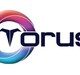 toruschain-association-launches-the-first-ever-gasless-layer-1-blockchain,-toruschain-is-revolutionizing-the-web3-ecosystem