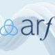 arf-earns-third-consecutive-pay360-award-for-pioneering-innovation-in-global-payments