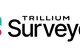 trillium-surveyor-and-kaiko-announce-strategic-partnership-to-enhance-crypto-trade-surveillance